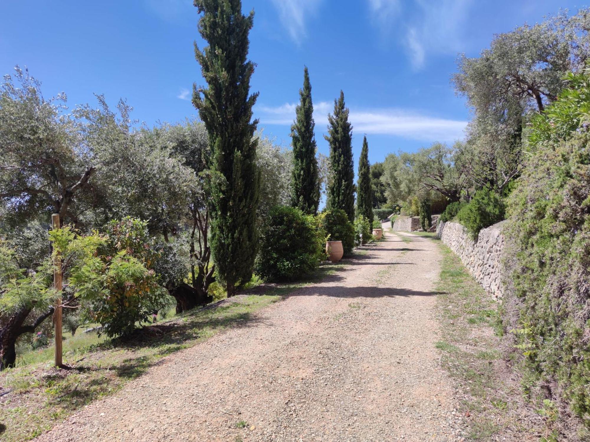 Villa Des Oliviers Sanary-sur-Mer Exteriör bild