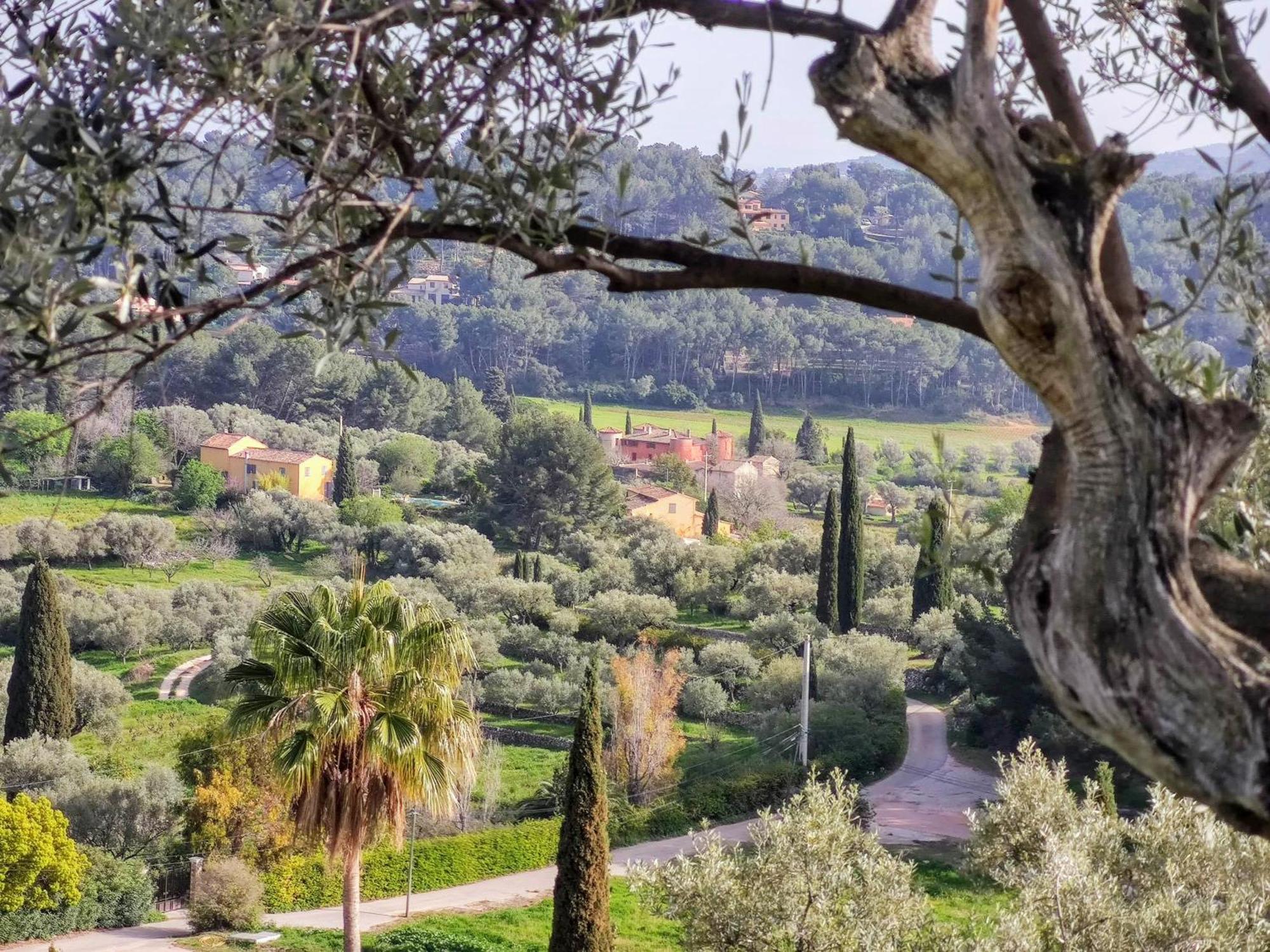 Villa Des Oliviers Sanary-sur-Mer Exteriör bild